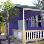 Iguana Inn