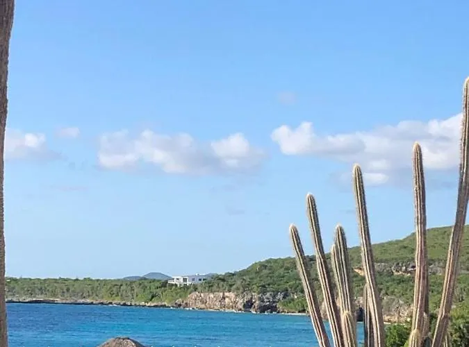 Ocean Front Villadelmar-Beach Access-Private Pool-10 Guests-