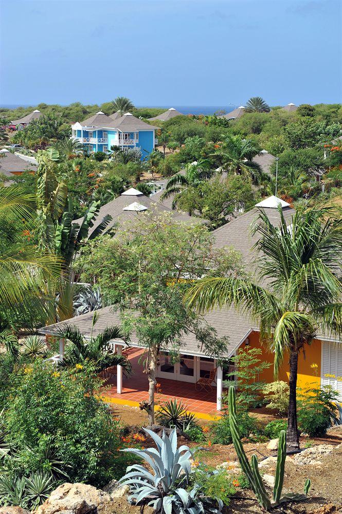 Chogogo Hotel 4*