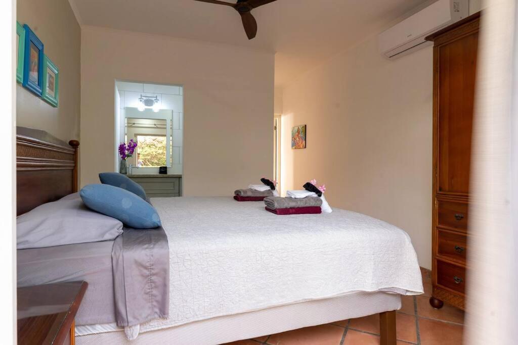 Ocean Front Villadelmar-beach Access-private Pool-10 Guests- Willibrordus