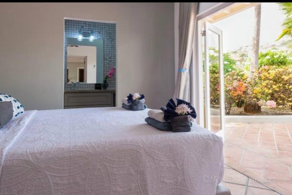 Ocean Front Villadelmar-beach Access-private Pool-10 Guests- Villa *