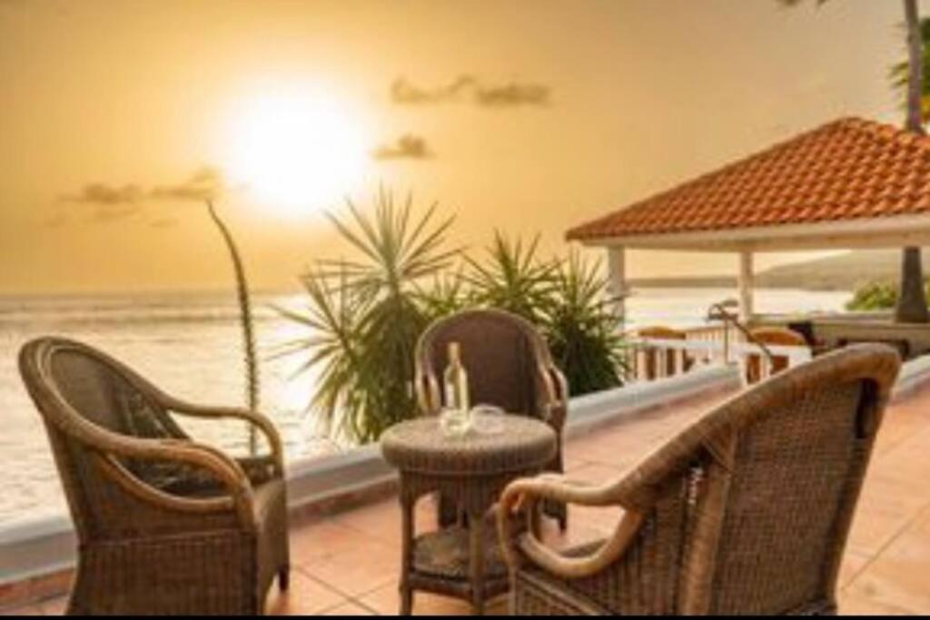 Ocean Front Villadelmar-beach Access-private Pool-10 Guests- Villa Willibrordus