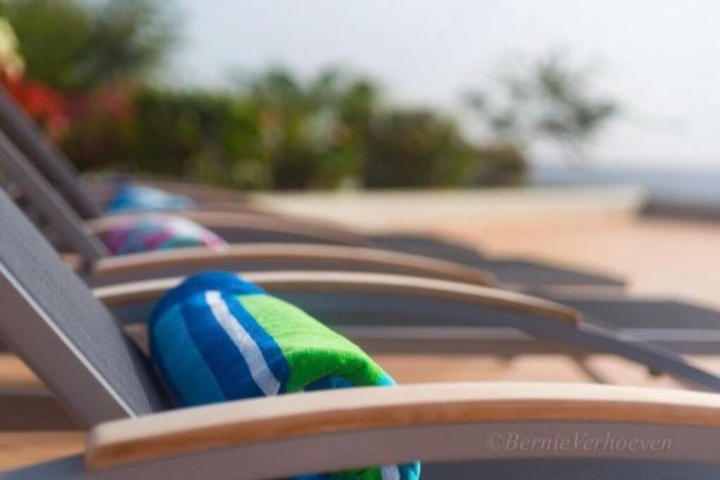 Ocean Front Villadelmar-beach Access-private Pool-10 Guests- *