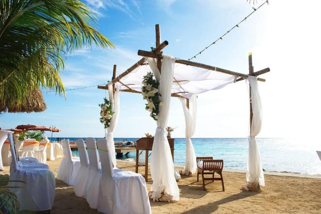 Ocean Front Villadelmar-beach Access-private Pool-10 Guests- Villa *