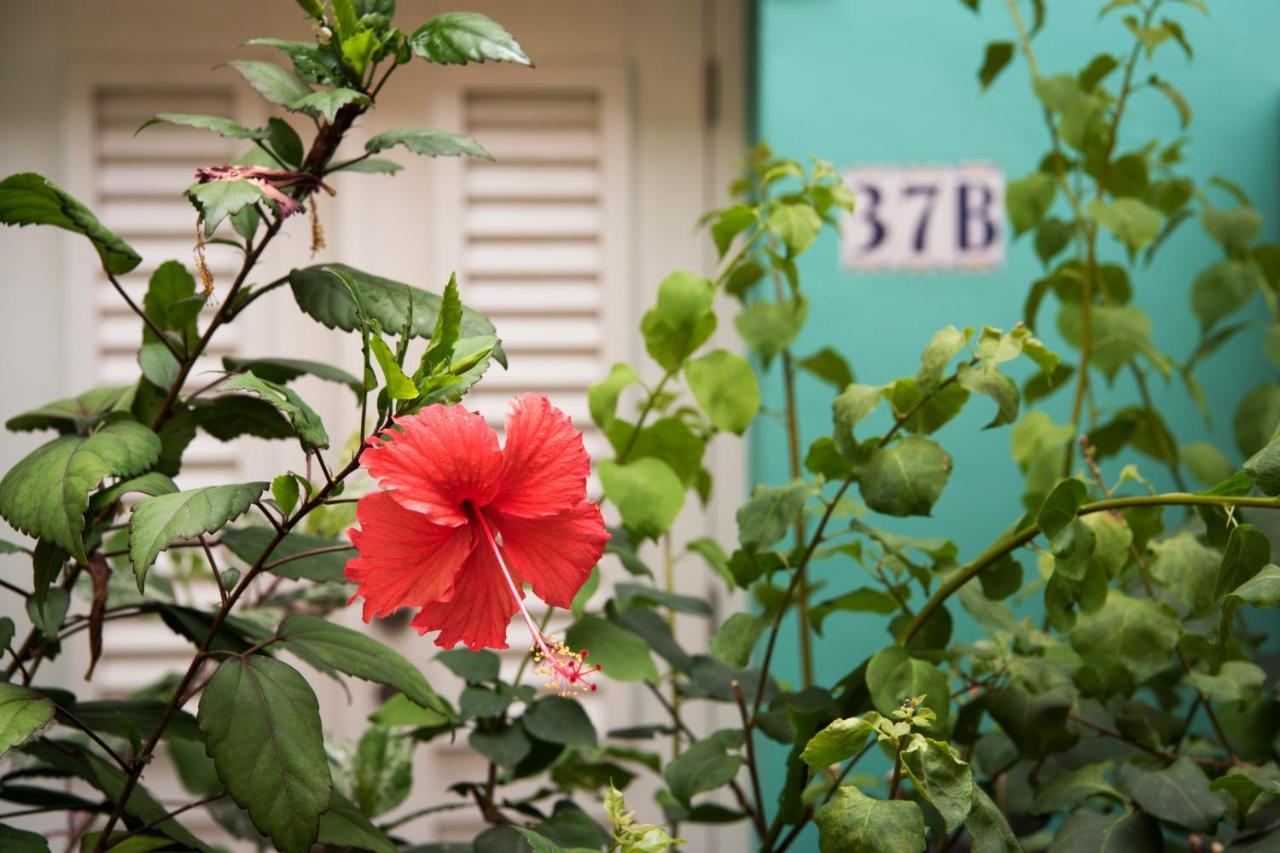 Apartment Curacao Gardens *