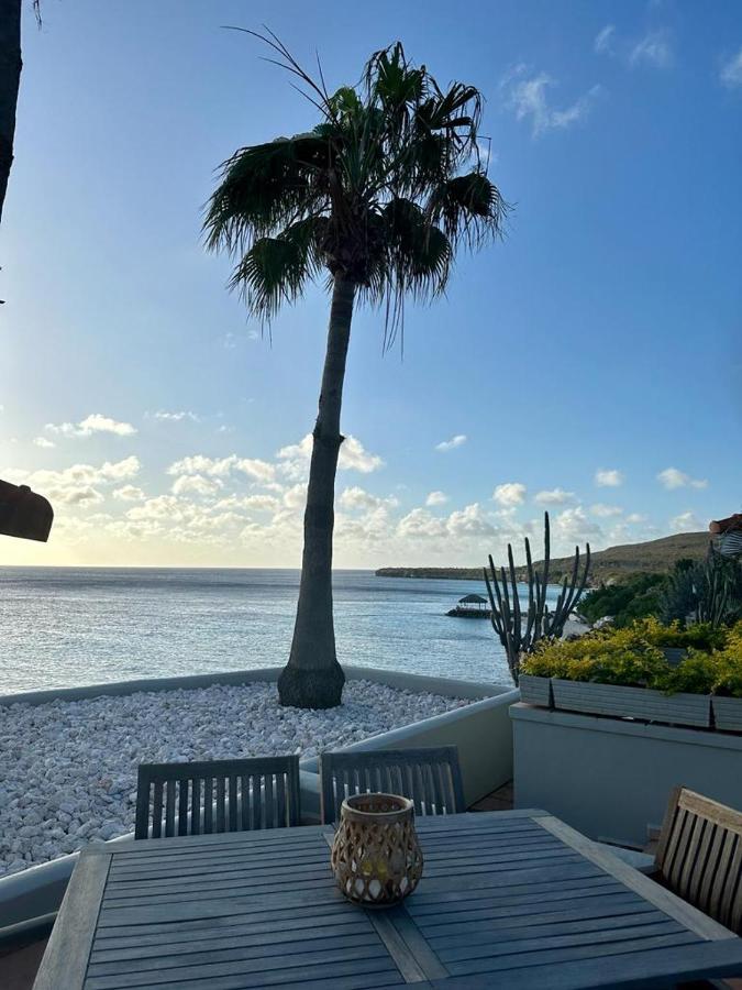 Ocean Front Villadelmar-beach Access-private Pool-10 Guests-