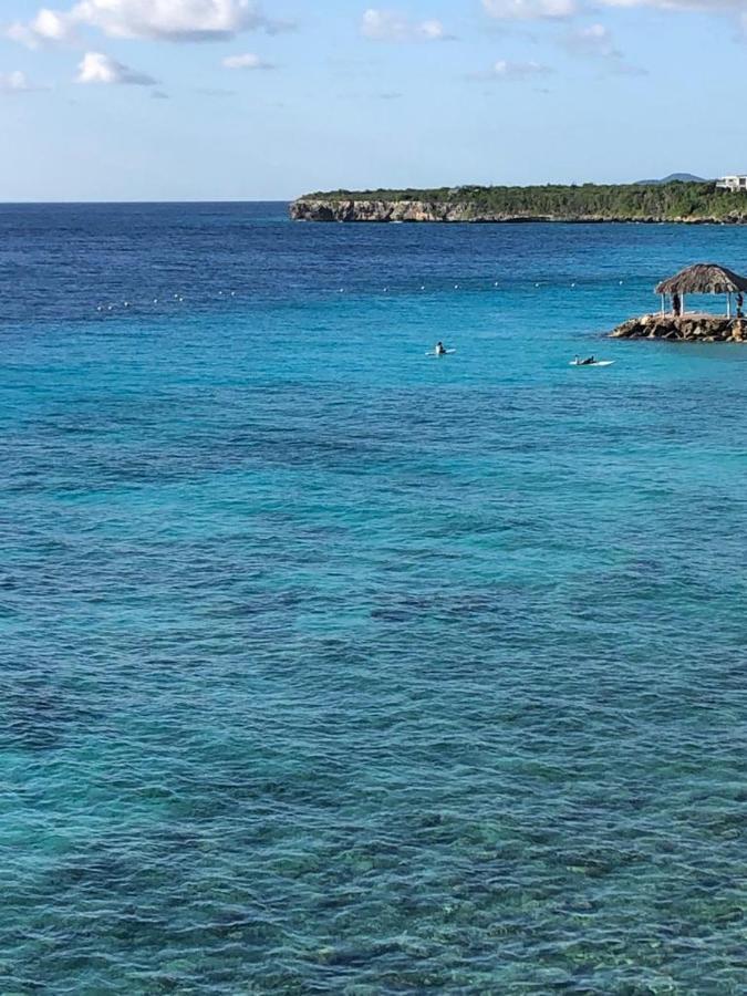 Ocean Front Villadelmar-beach Access-private Pool-10 Guests- *