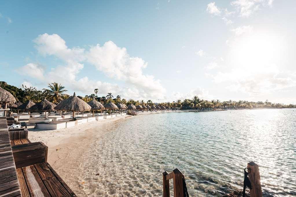 The Kontiki 4* Willemstad