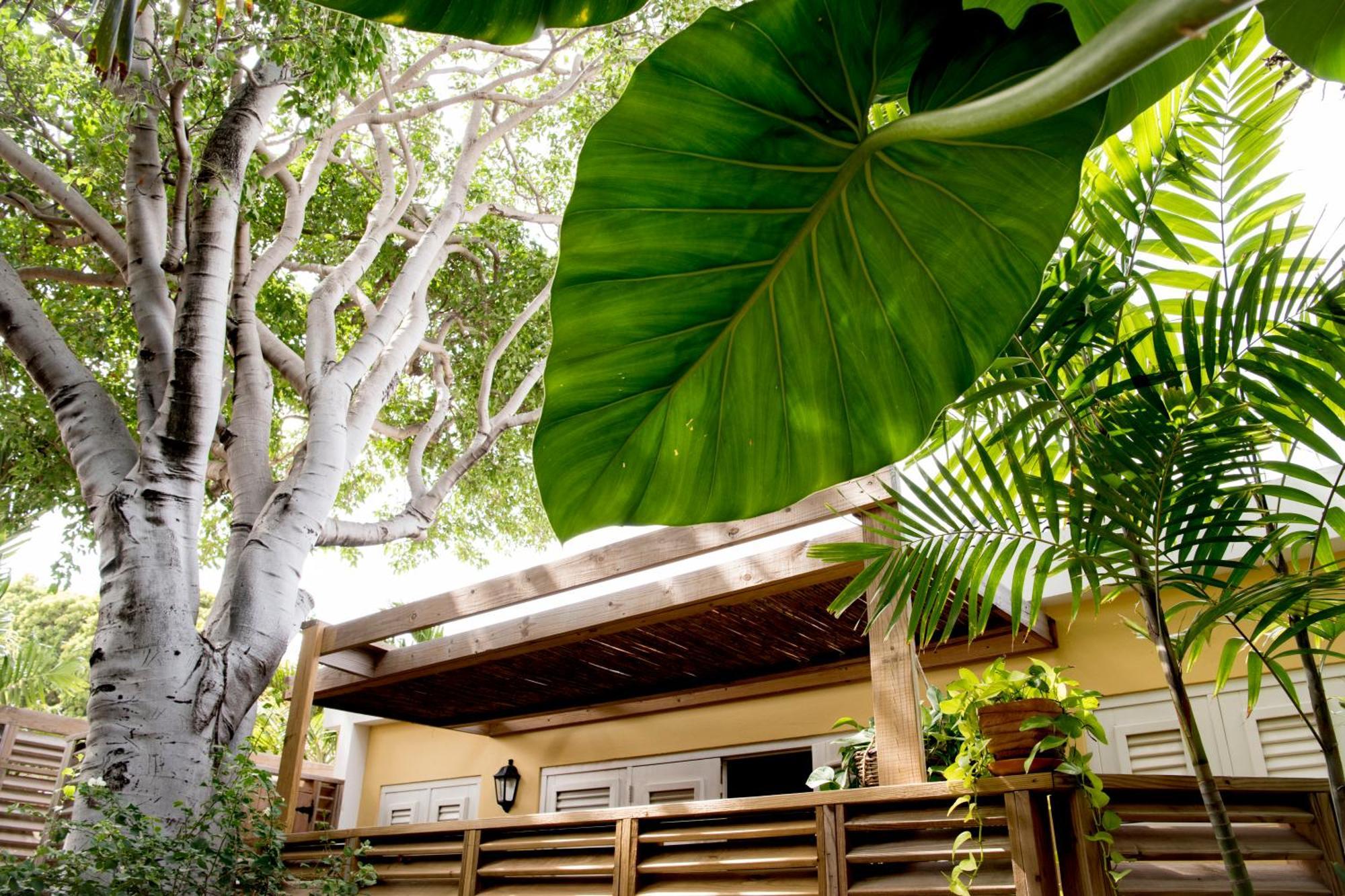 Curacao Gardens *