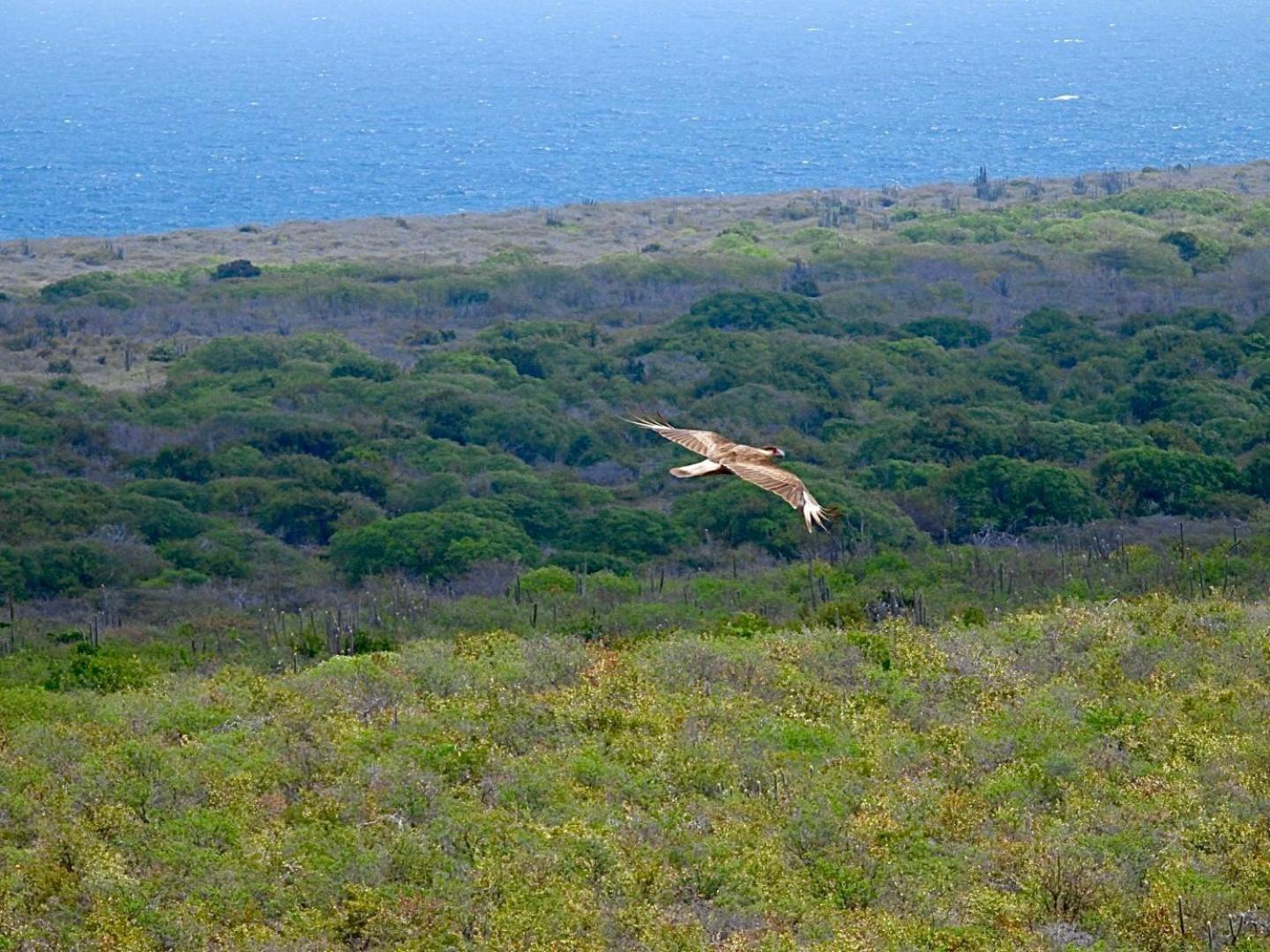 Kas Na Nort Villa Willemstad