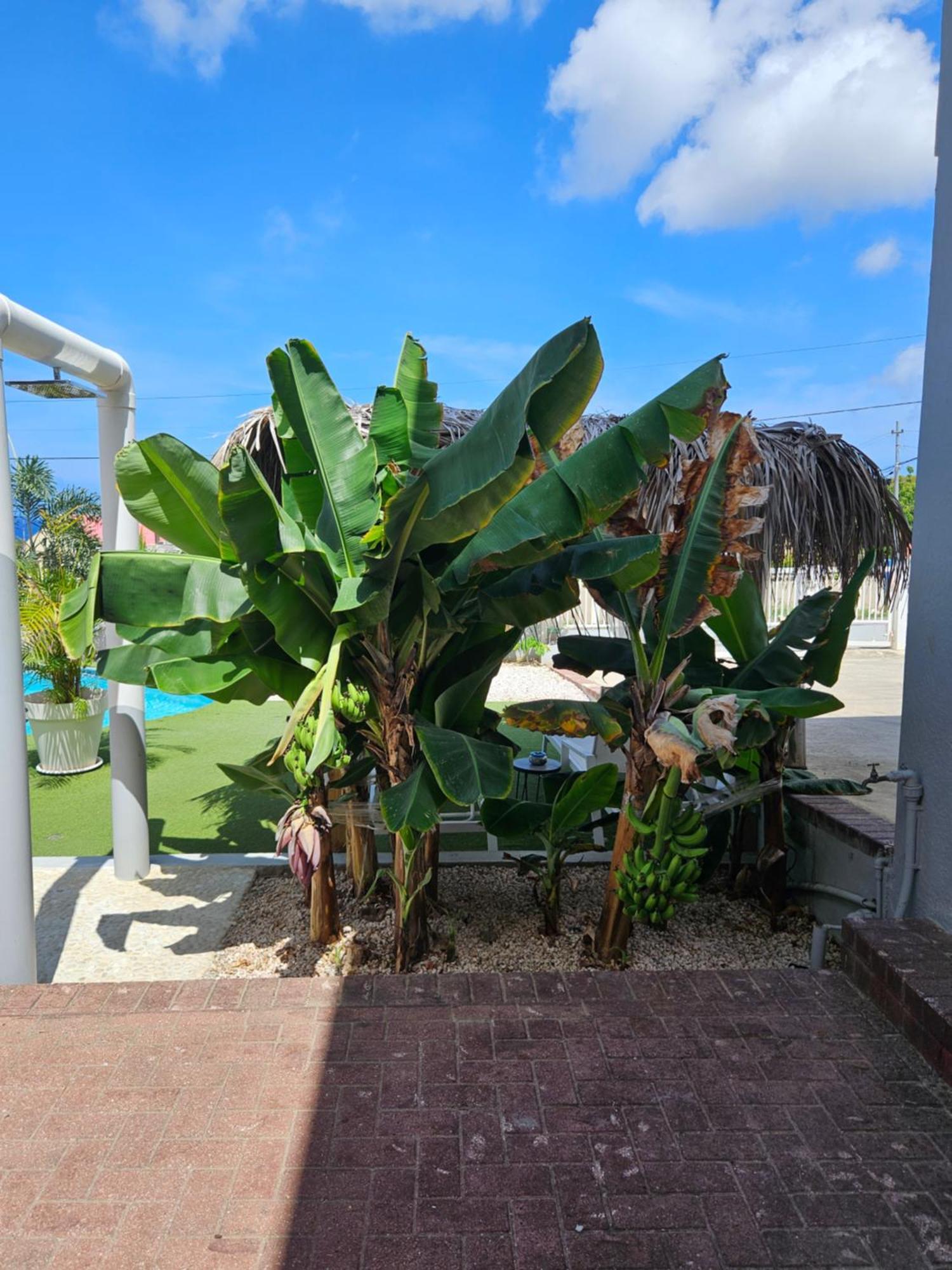 Raven's Paradise Apartamento *