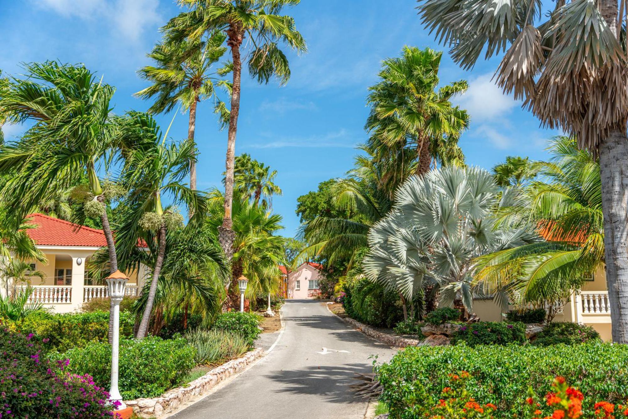 Resort Livingstone Jan Thiel 4*