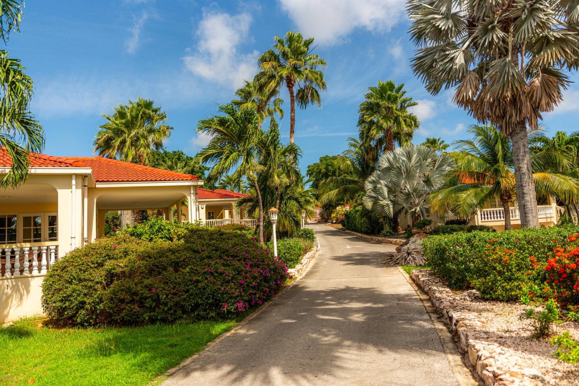 Resort Livingstone Jan Thiel Willemstad