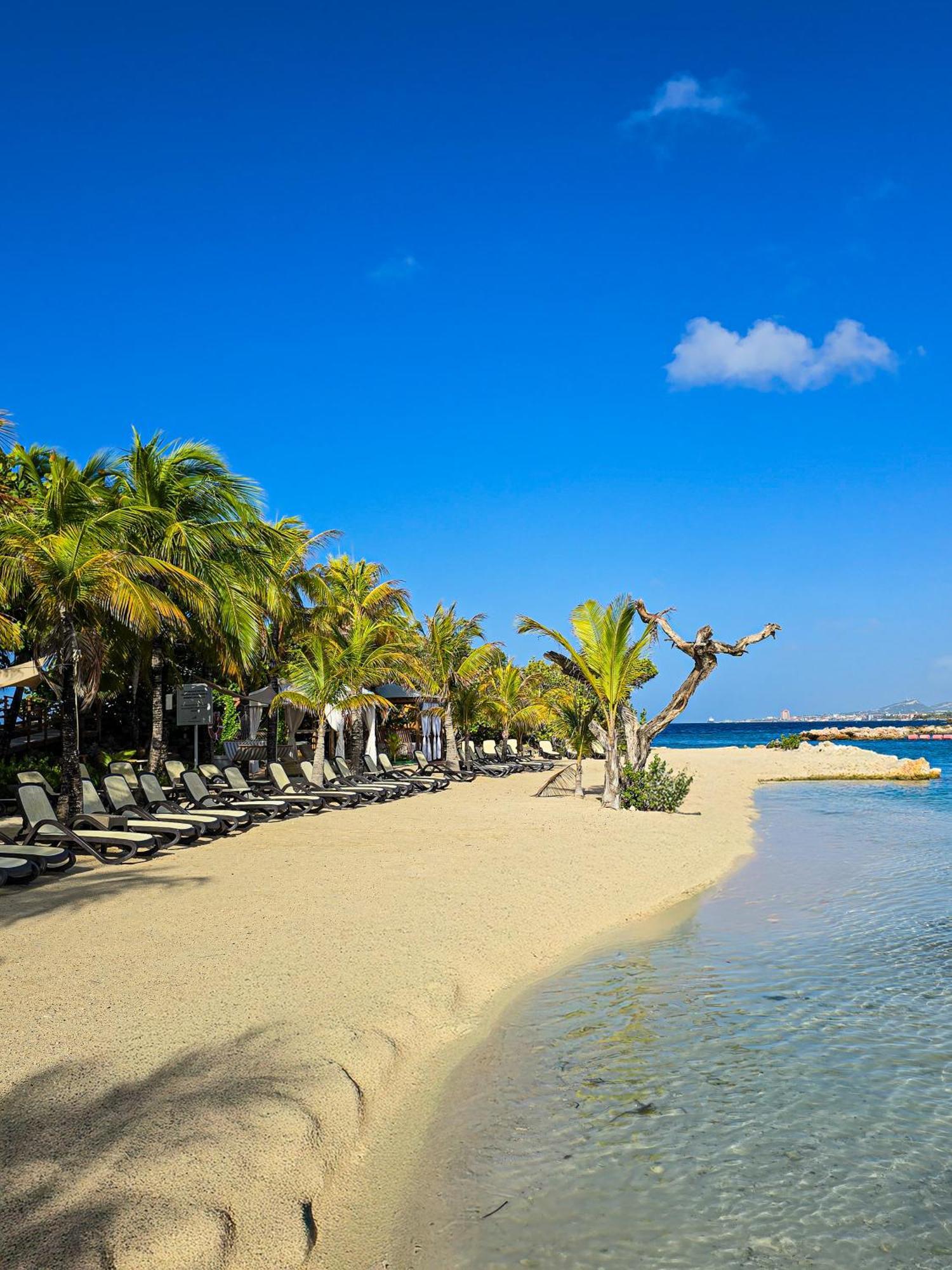 The Royal Sea Aquarium 5* Willemstad