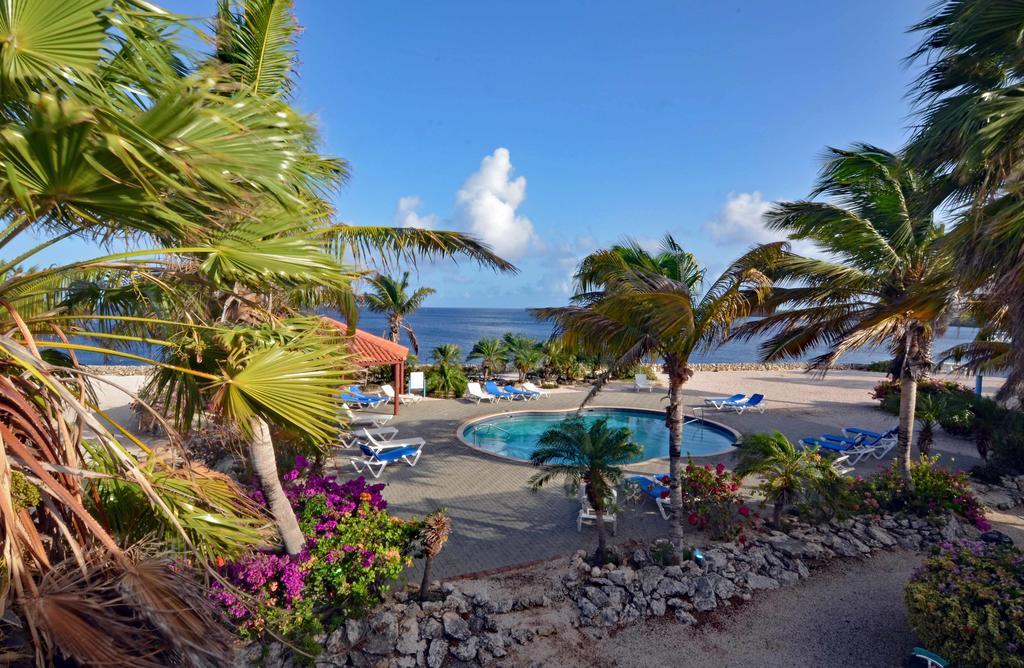 Apartment Marazul Dive *
