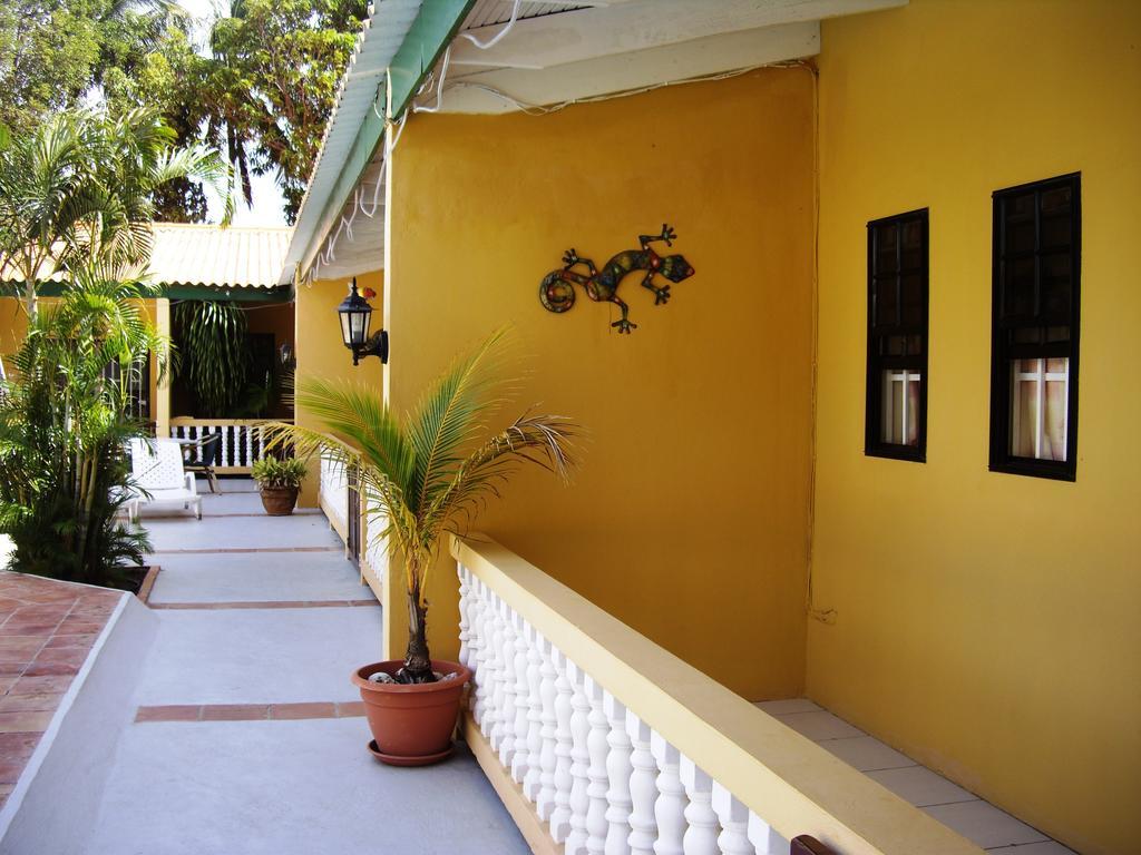 Iguana Apartment *