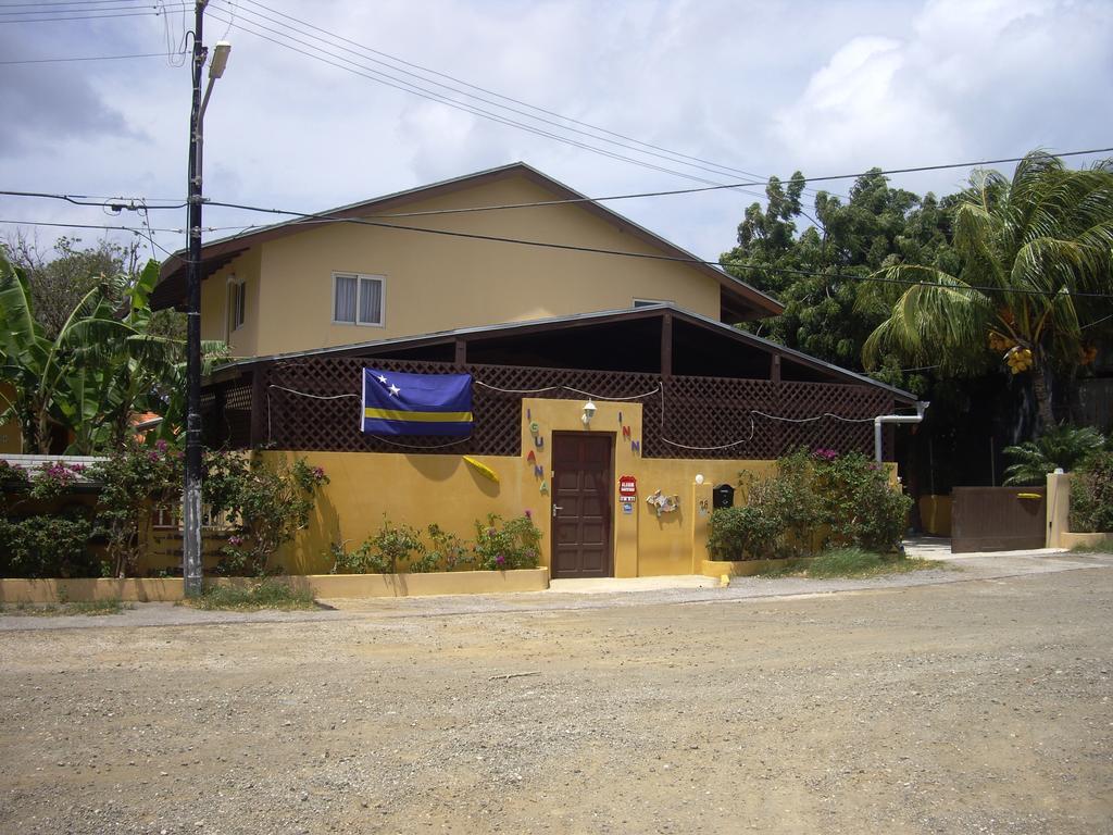 Iguana Apartment *