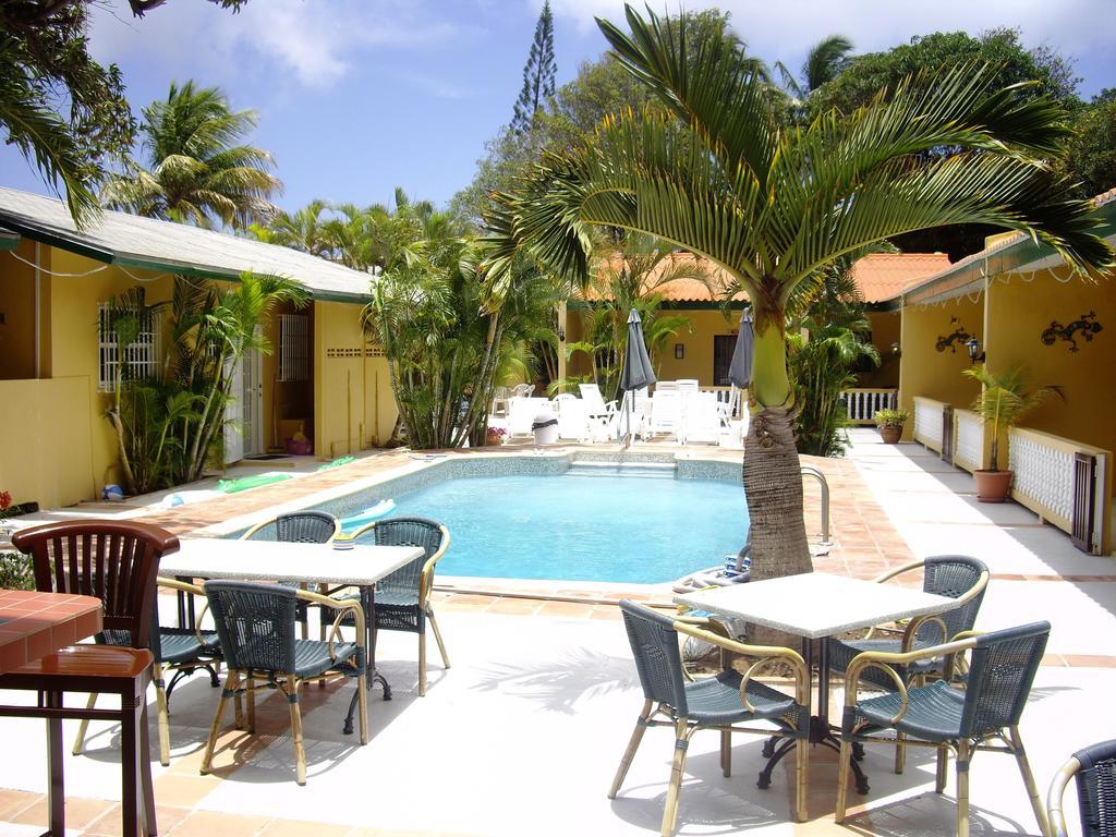 Iguana Apartment Willemstad