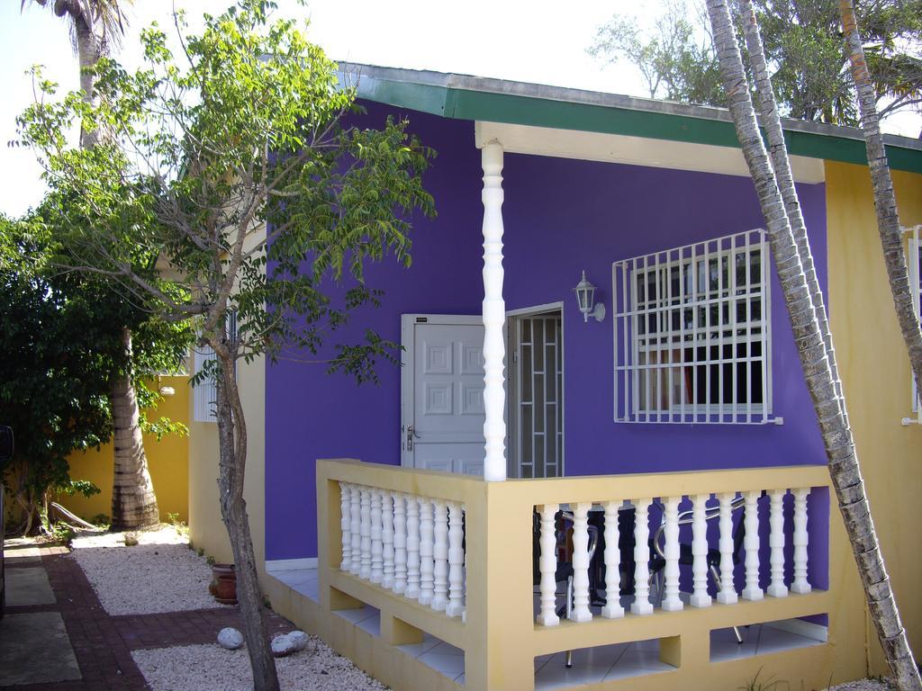 Iguana Apartment Willemstad