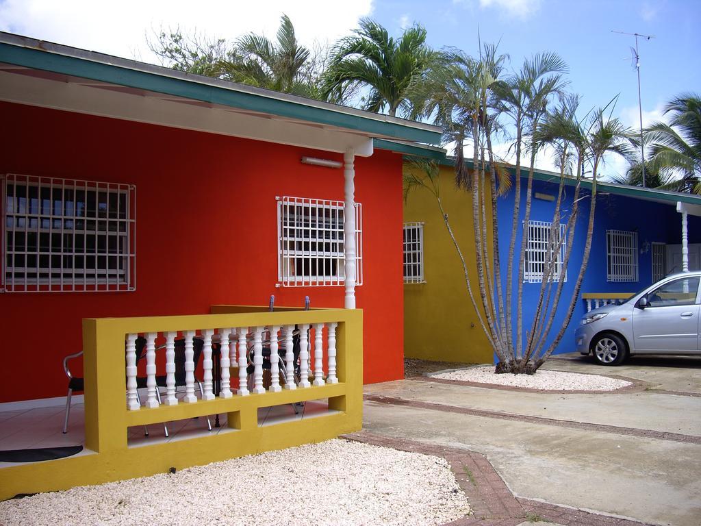 Apartamento Iguana *