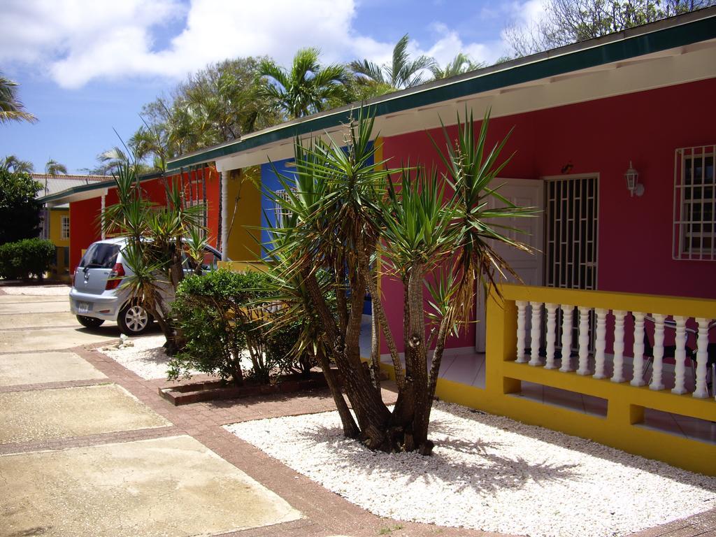 Iguana