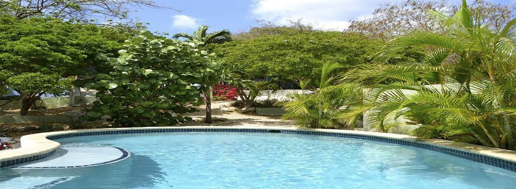 De Bed & Breakfast 3*
