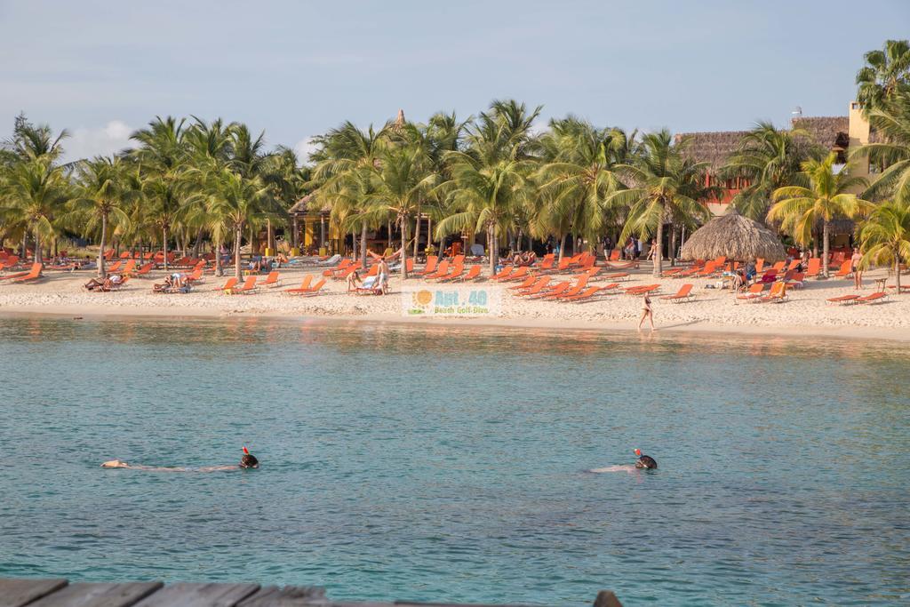 Seaview 2 Bedroom - Apt40 - Blue Bay Curacao Appartement *