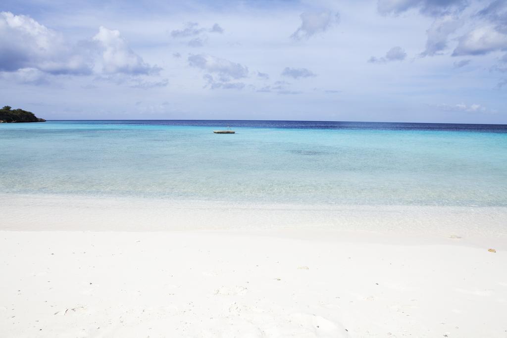 Dolphins Jump@curacao Ocean Appartement *