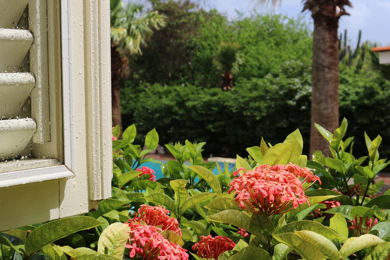 Bed & Breakfast Bona Vista 4*