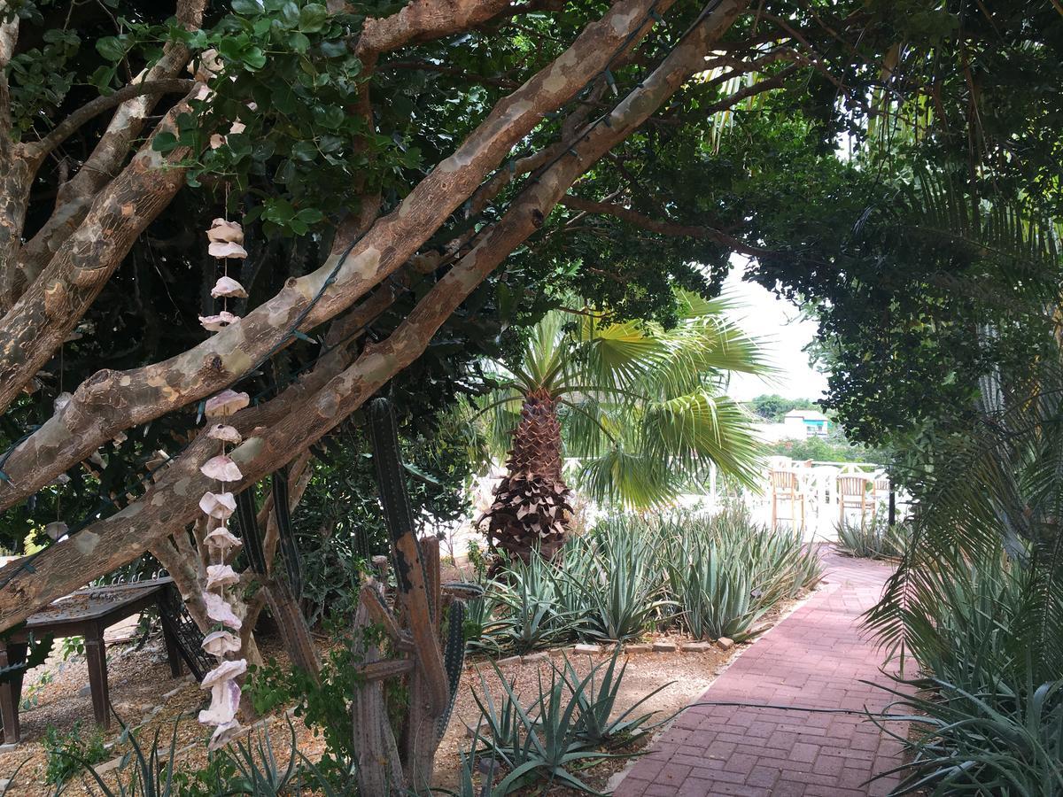 Bona Vista 4* Willemstad