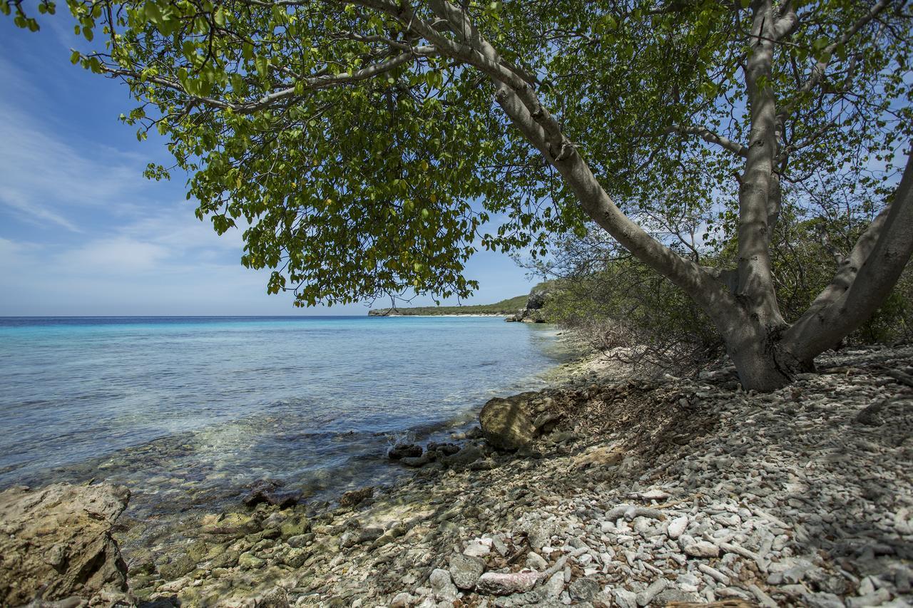 Bungalow Cas Abou 21 Casa de férias