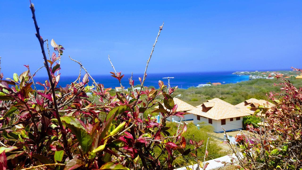 Bed & Breakfast Punta West Westpunt