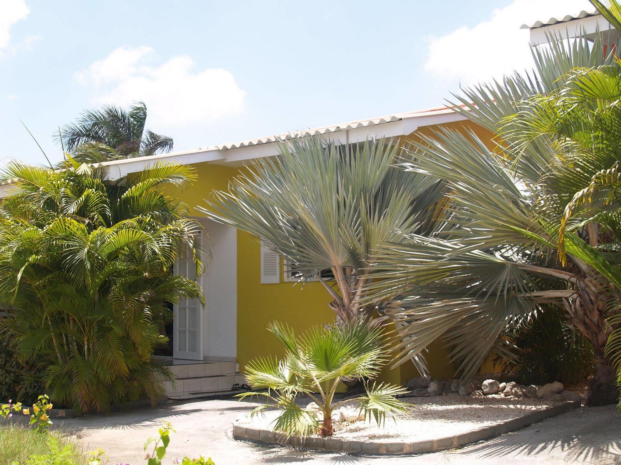 Tuk Tropical Boutique Hotel Jan Thiel