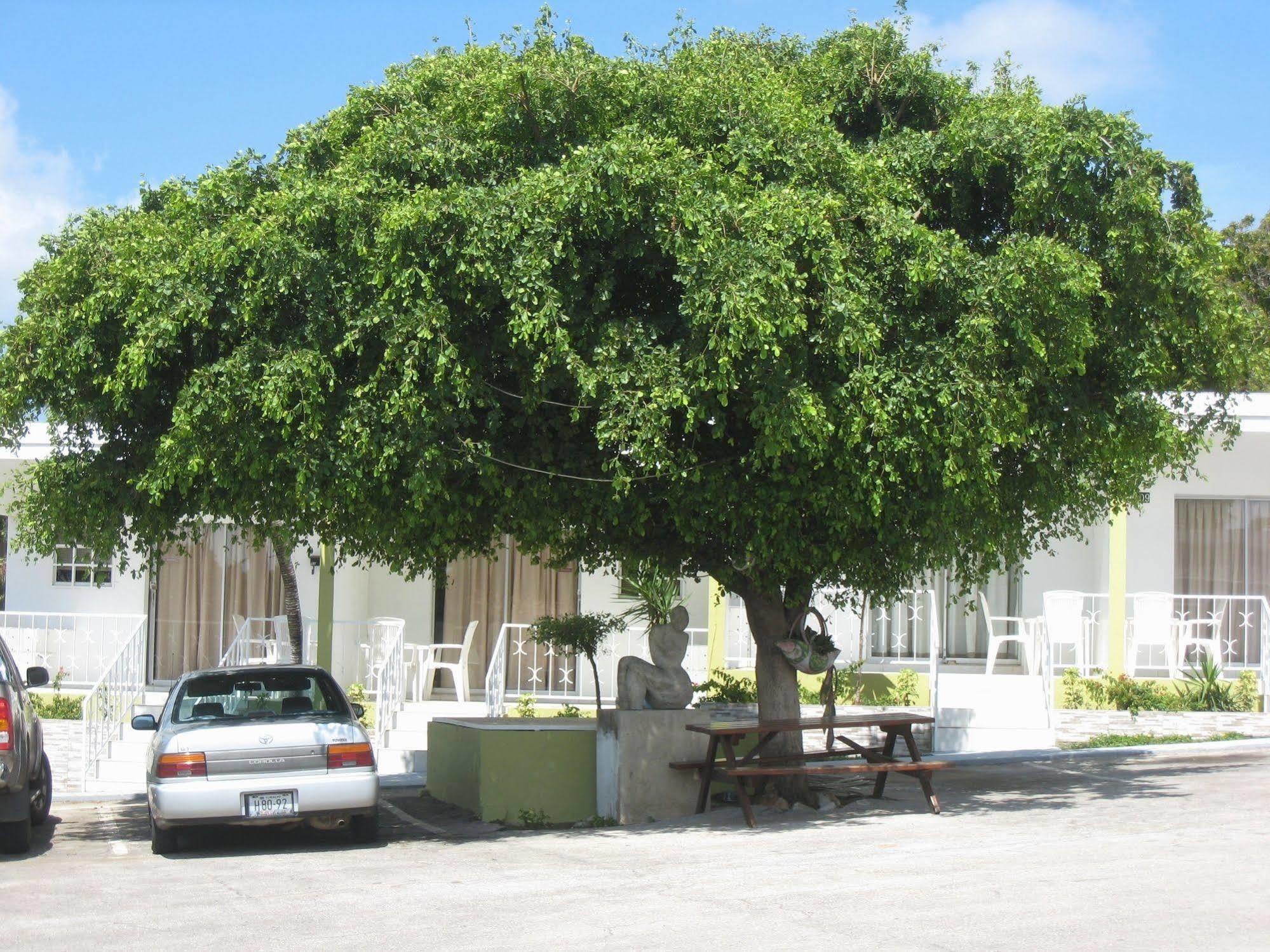 Alablanca Residents