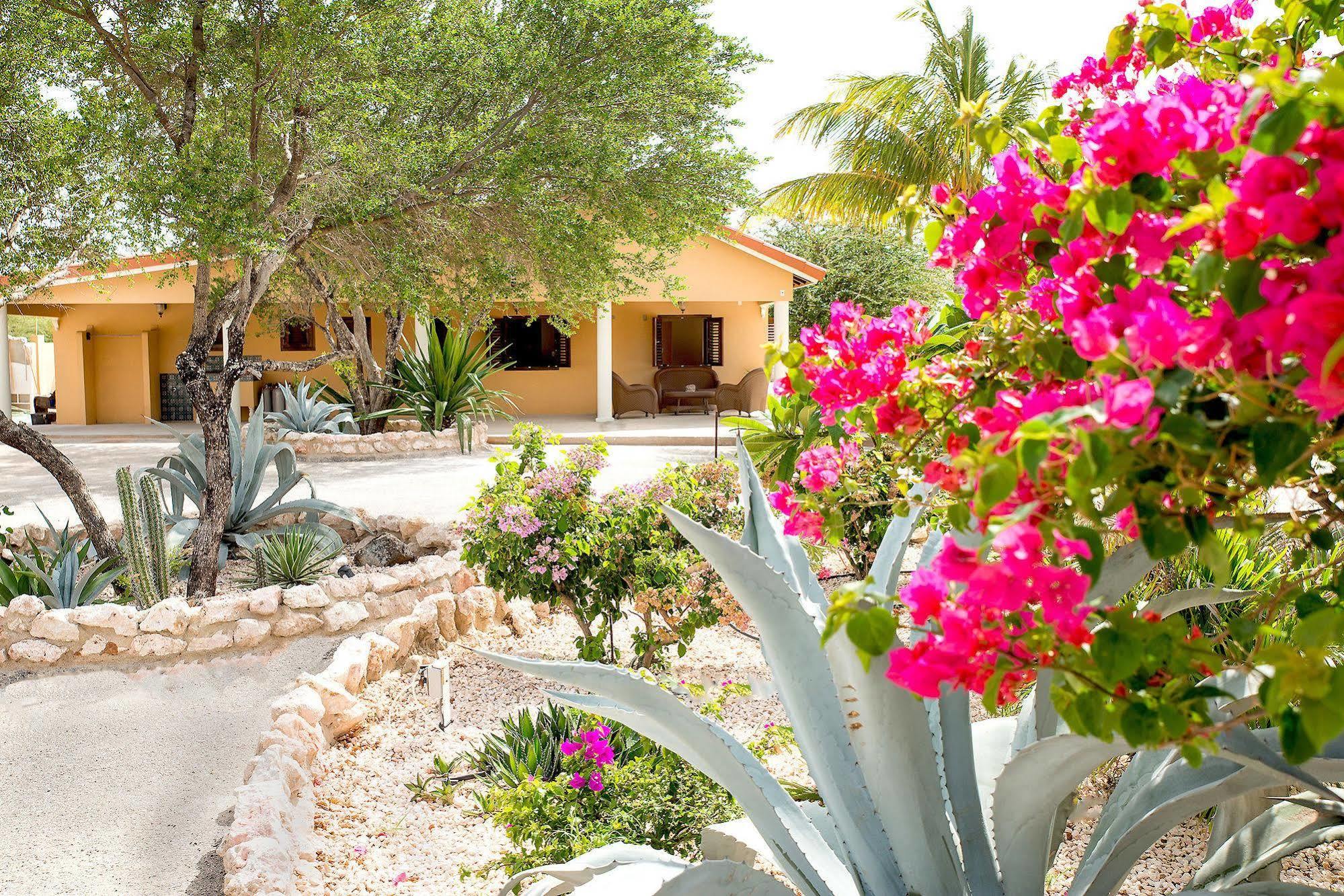 Lagun Blou Dive And Beach Resort *