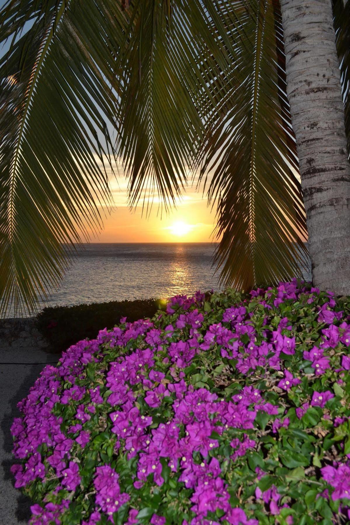 Villa Lagun Blou Dive And Beach Resort Lagun