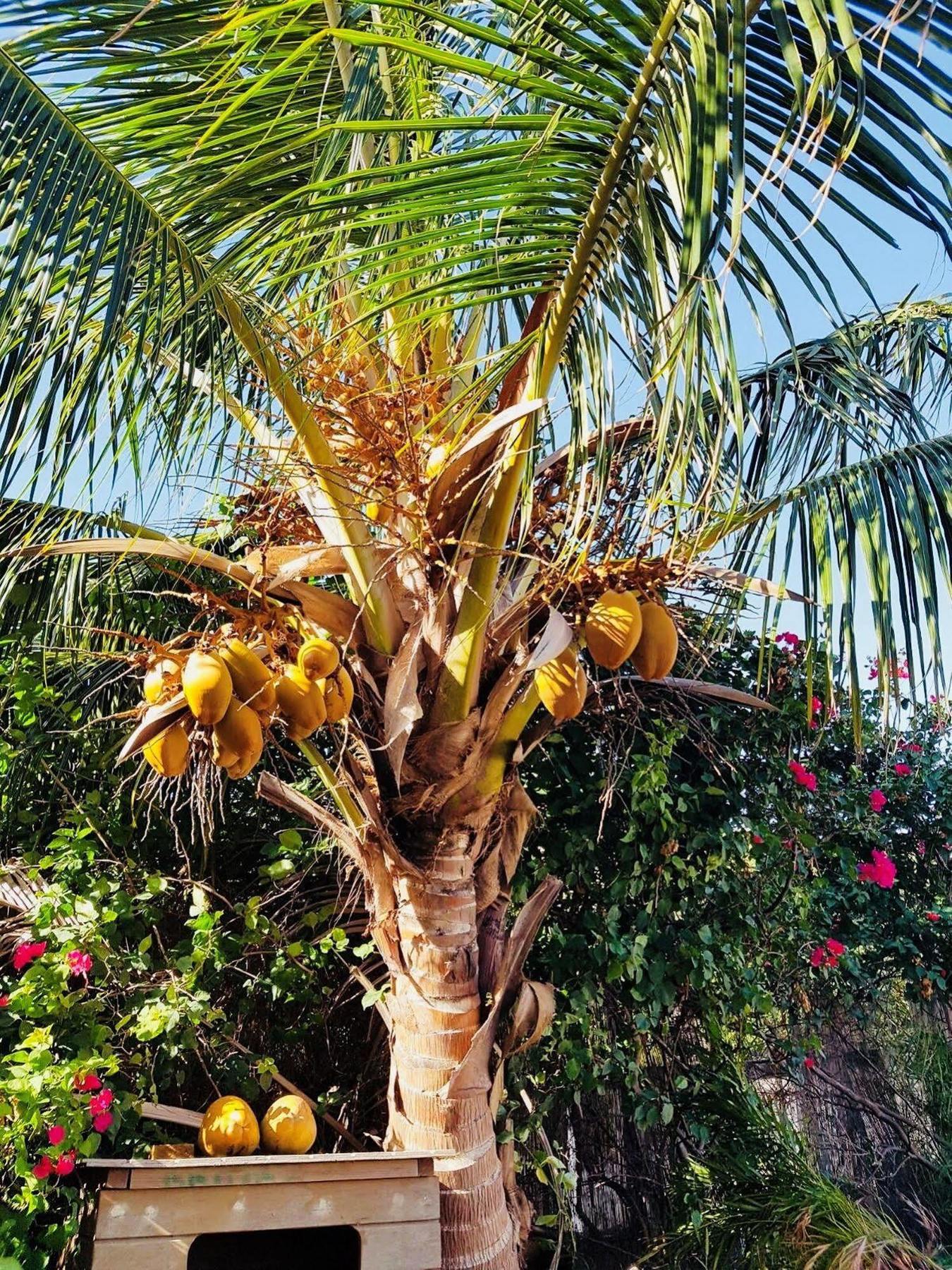 Villa Creole Guest house