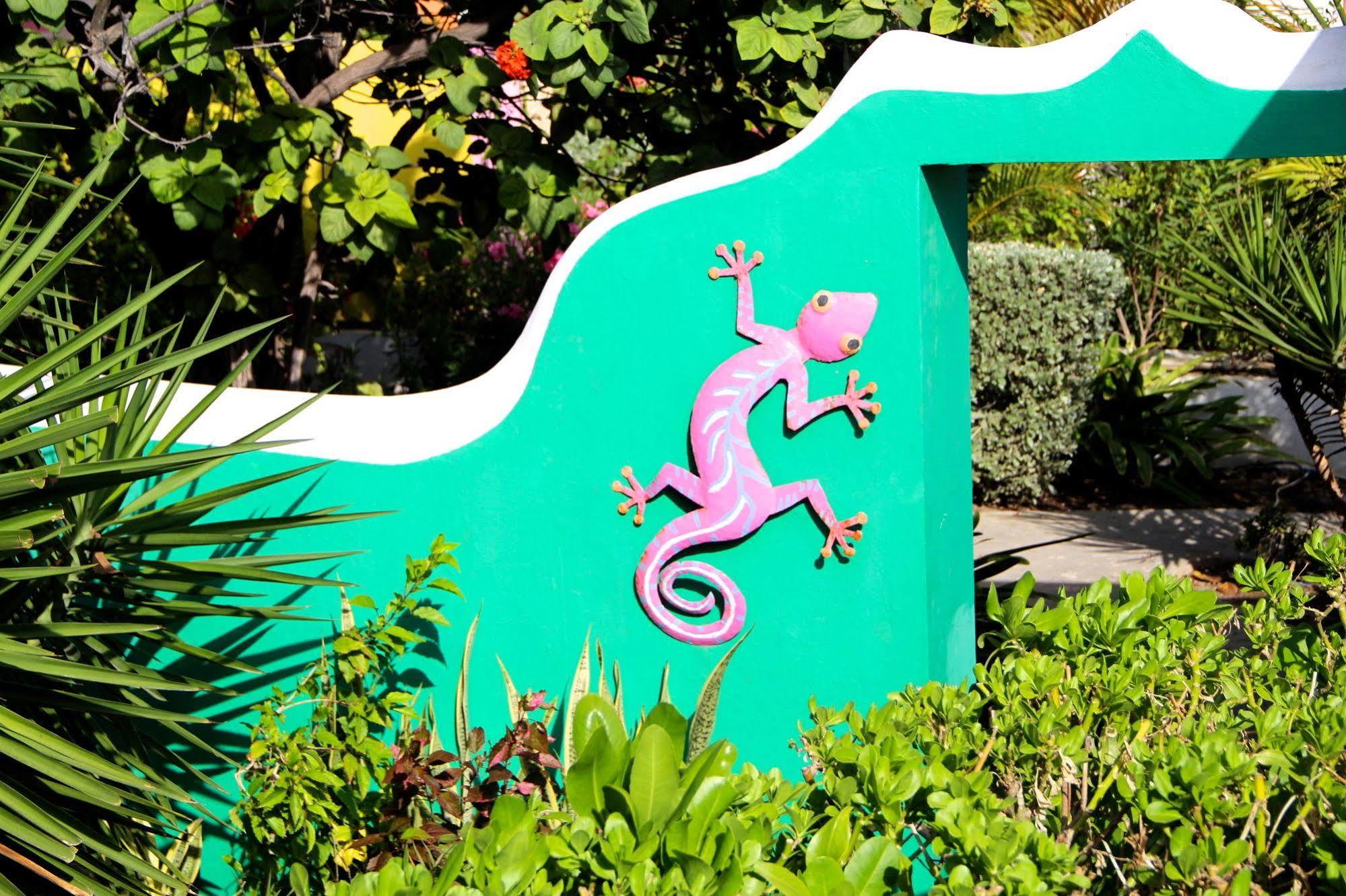 Scuba & 4* Willemstad