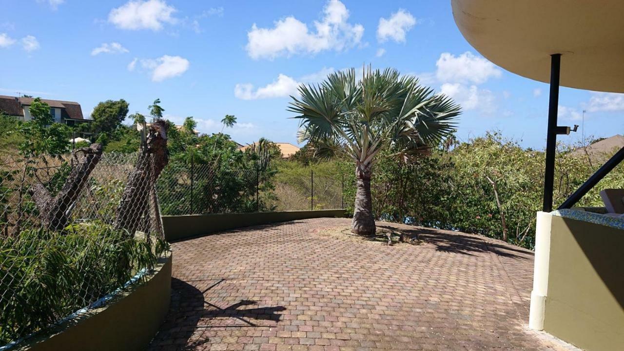 Casa Leona *
