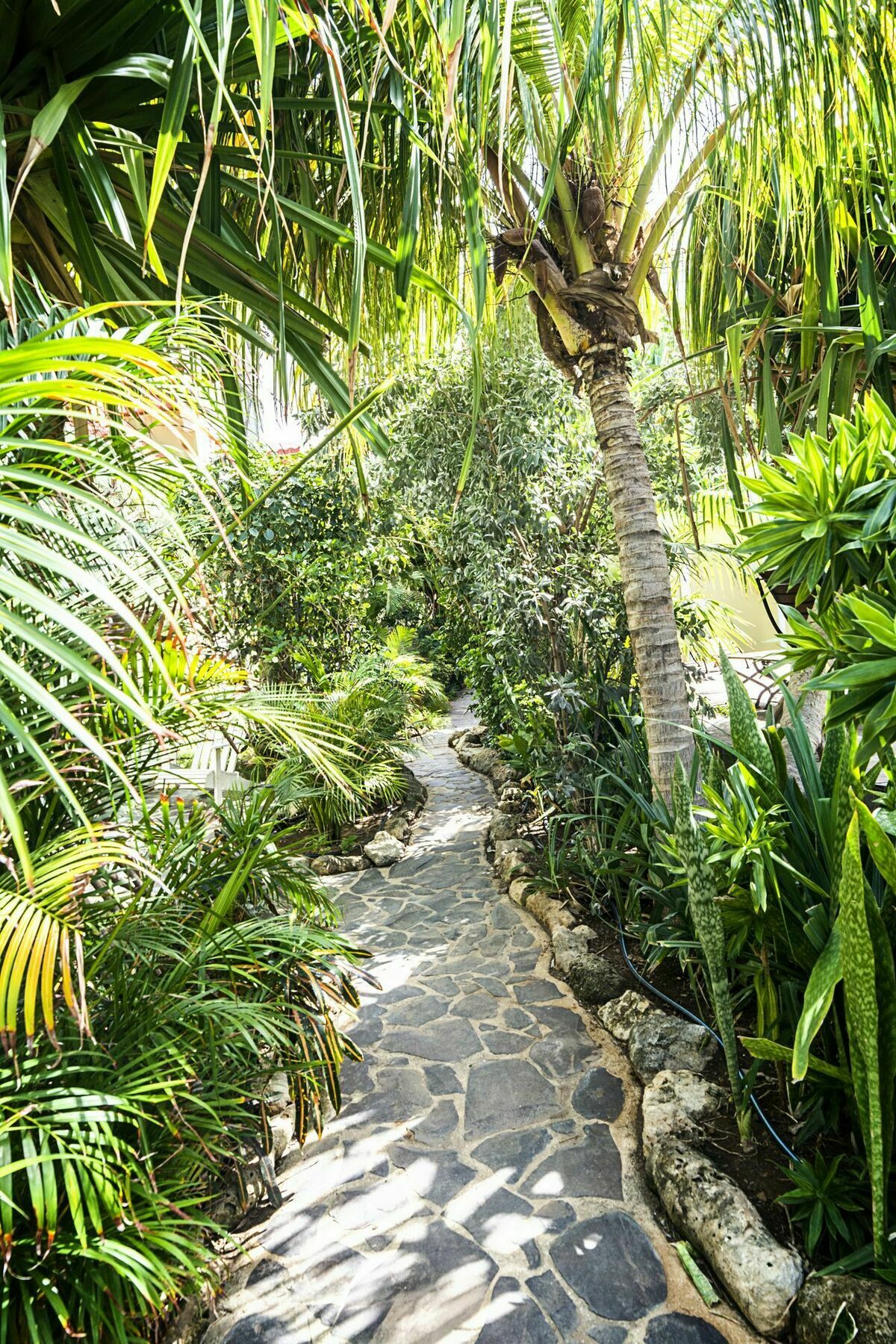 Pietermaai Caribbean Vibes Apartment