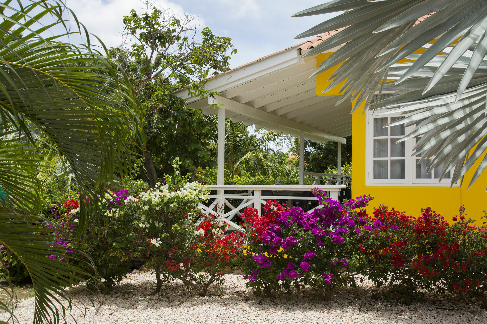 Bon Bini Curacao Campo de férias