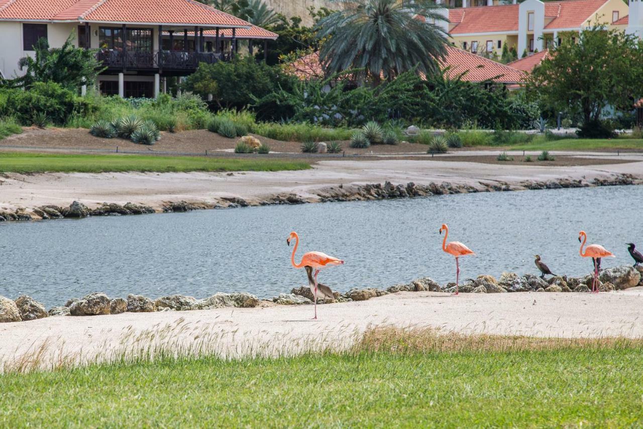 Appartement Blue Bay Beach Apartments Blauw Baai
