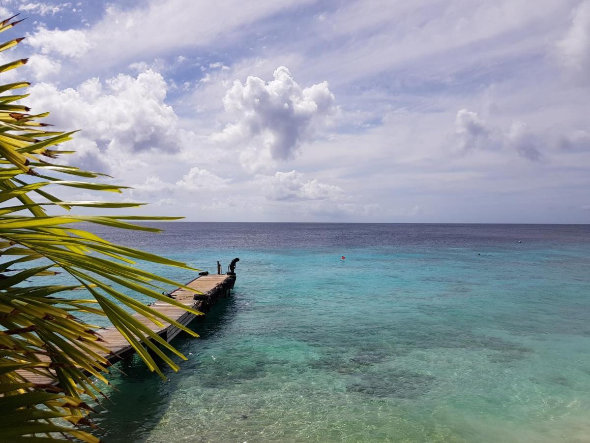 Marazul Dive F1 Apartamento Westpunt