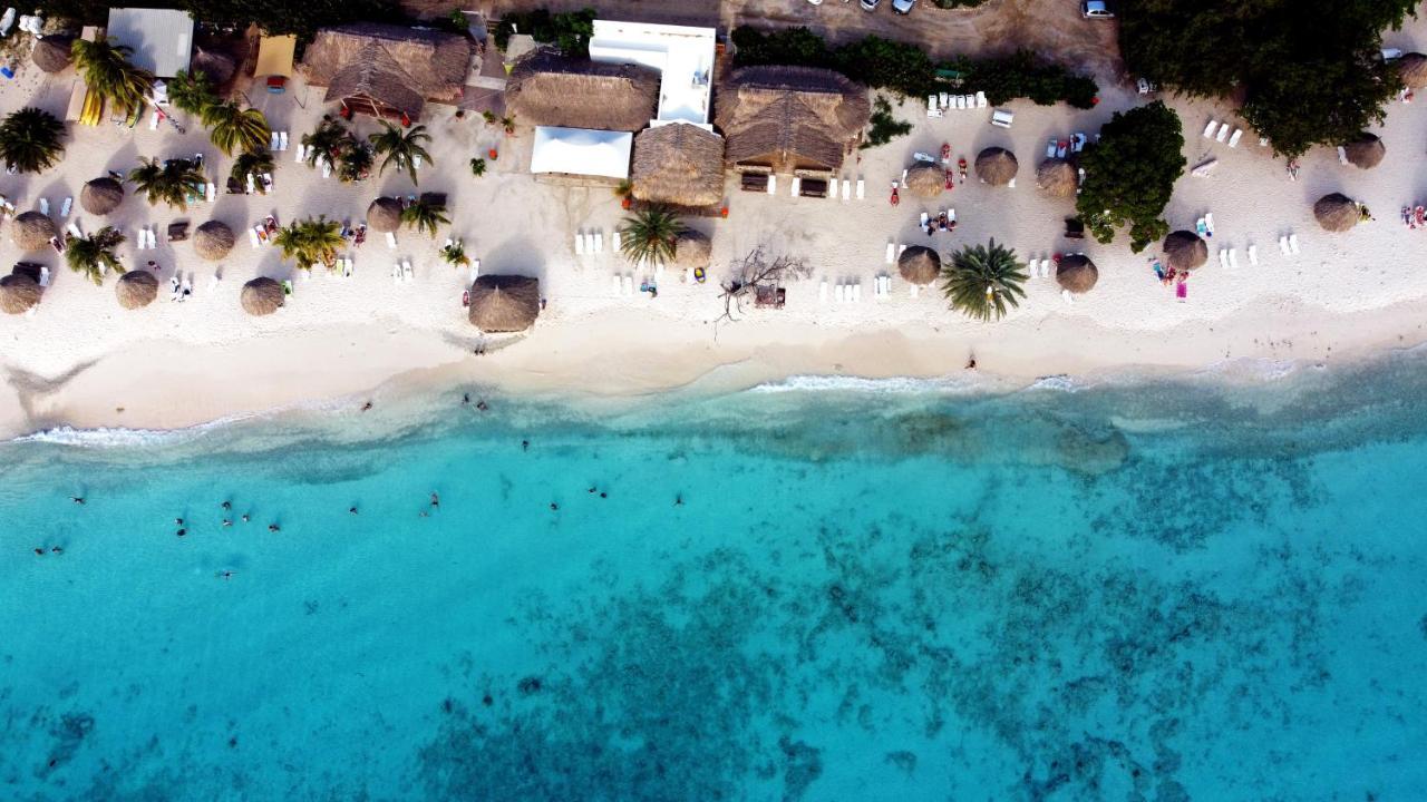 Exclusive 10-person Seaview In Cas Abou With Private And Pool Bar Villa *