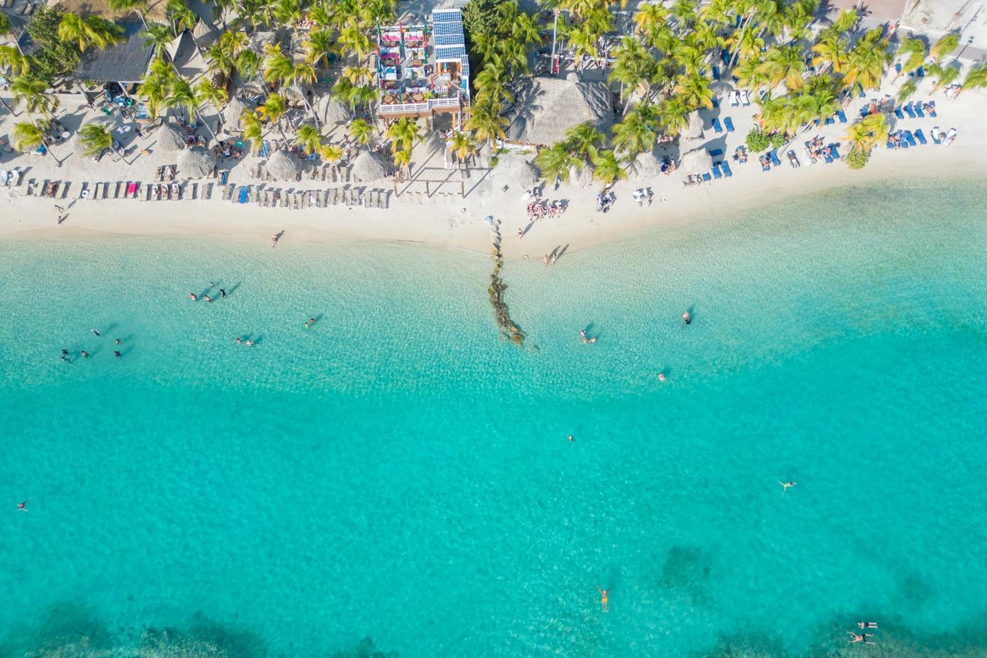 Dolphin & Wellness Curacao
