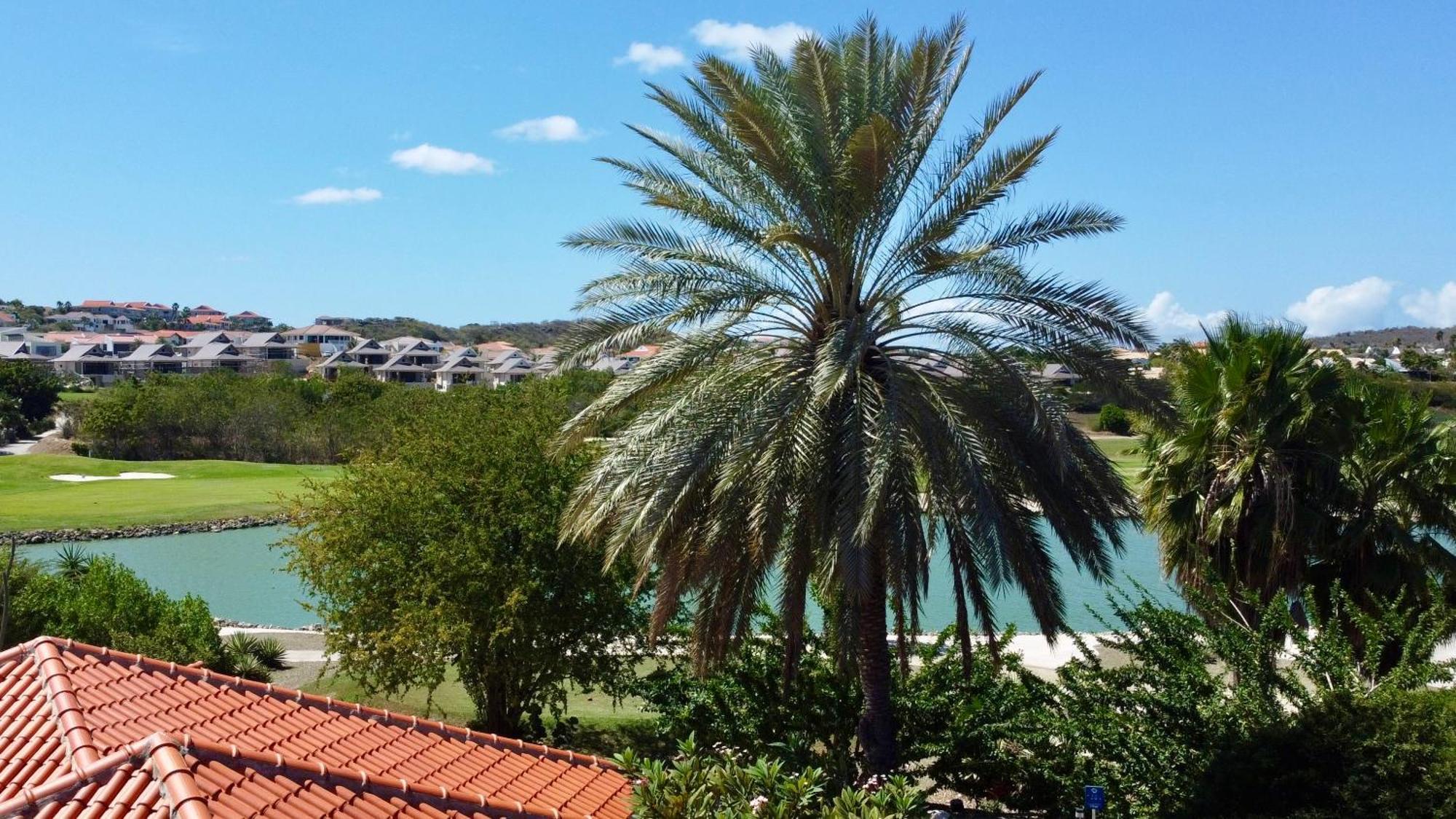 Vakantiehuis & Blauw Baai
