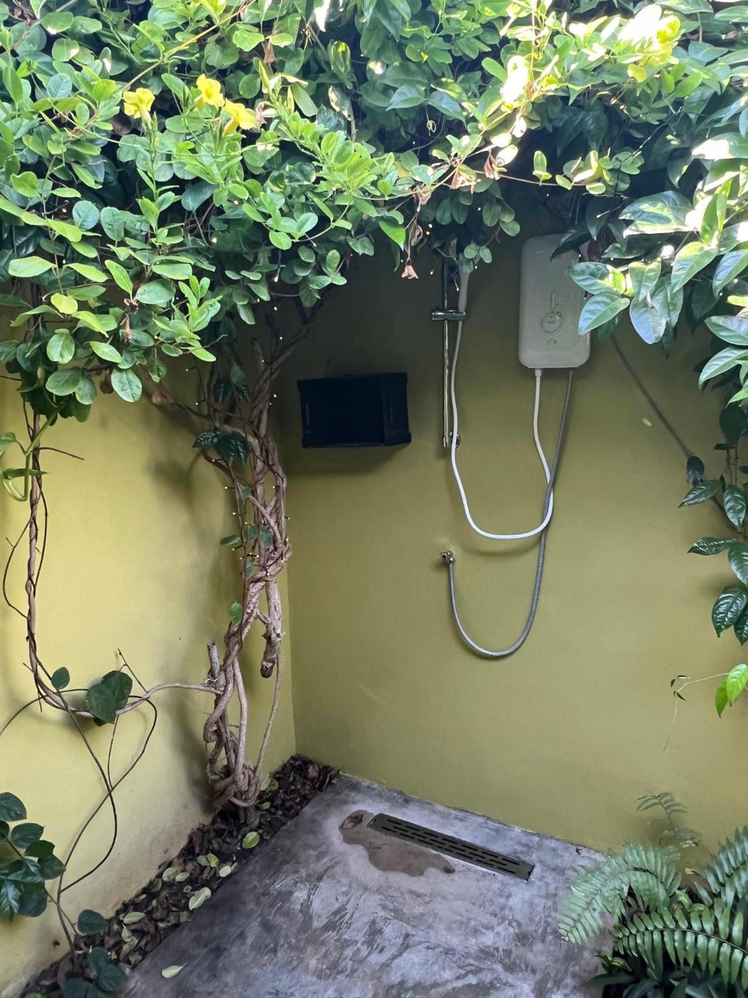 Bed & Breakfast The Octopus Tropical Oasis *