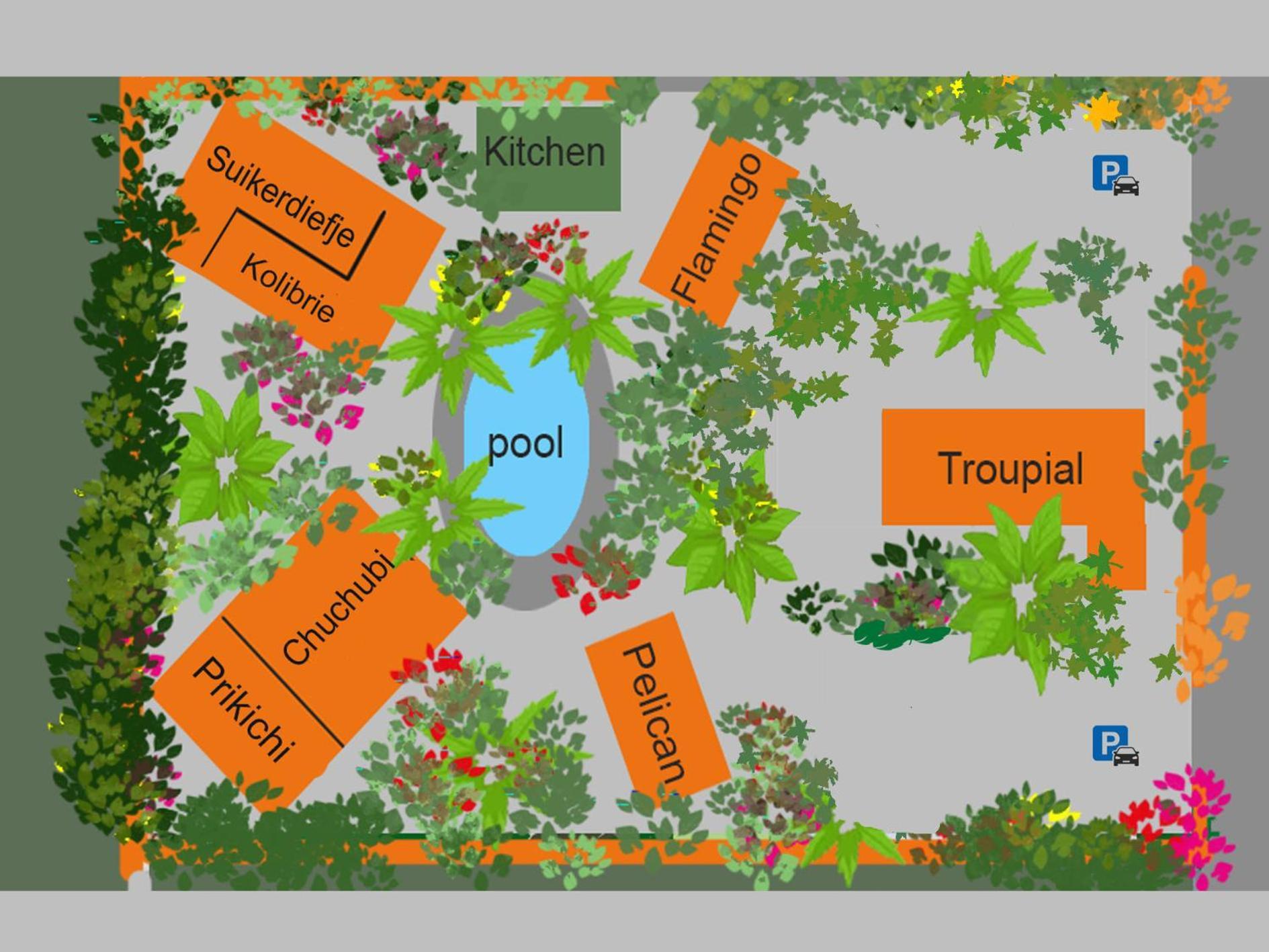 The Octopus Tropical Oasis Bed & Breakfast *