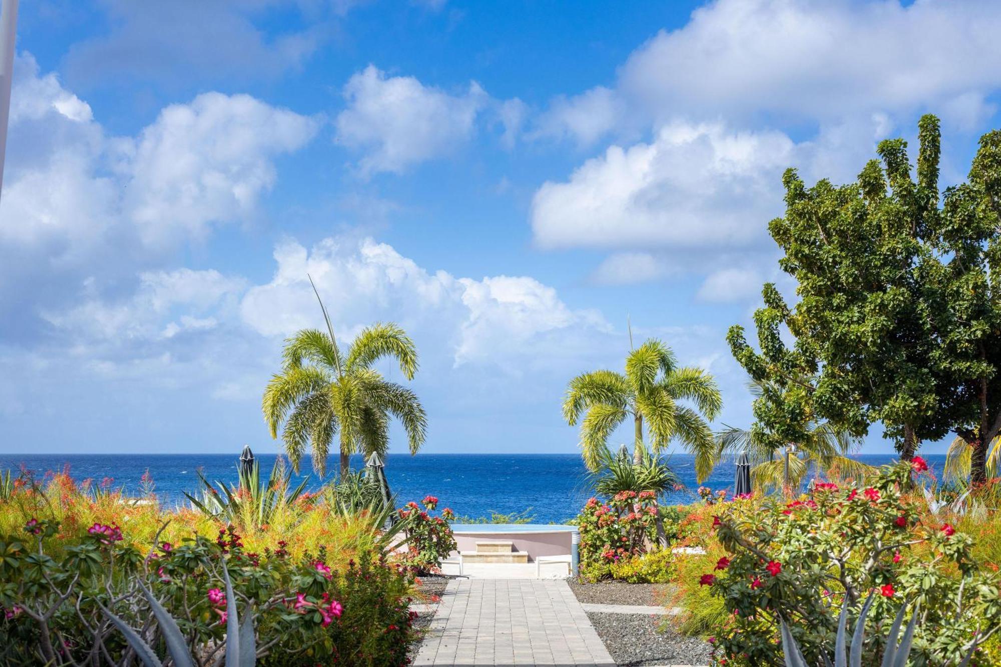 Coral Estate Luxury Resort