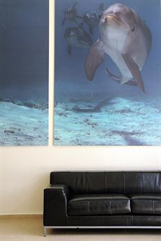 Dolphin & Wellness Curacao 3*